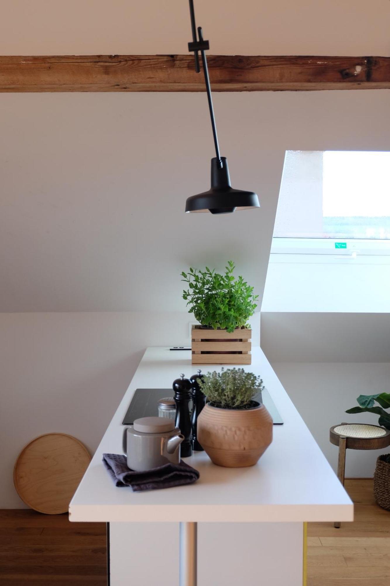 Design Apartments "Hier War Goethe Nie" 바이마르 외부 사진